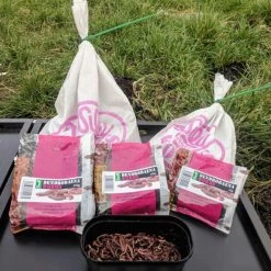 Willy Worms Small Dendrobaenas