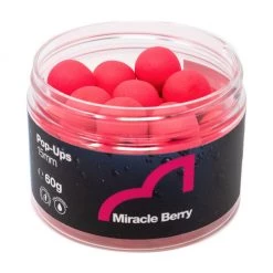 Spotted Fin - Pop Ups