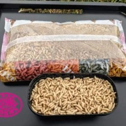 Willy Worms Live Bait White Maggots