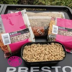 Willy Worms Live Bait White Maggots