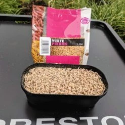 Willy Worms Live Bait White Pinkies