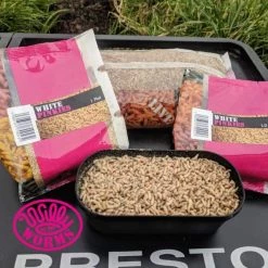 Willy Worms Live Bait White Pinkies