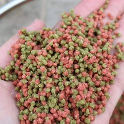 Win-Win Micro Method Pellets 900g Fishing Bait
